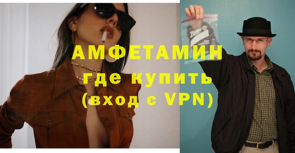сатива Горняк
