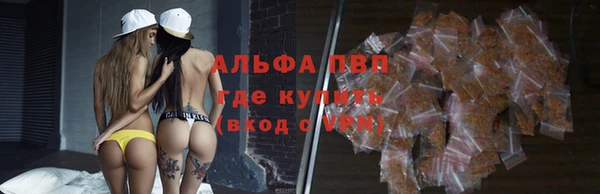 сатива Горняк