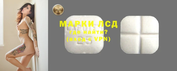 сатива Горняк