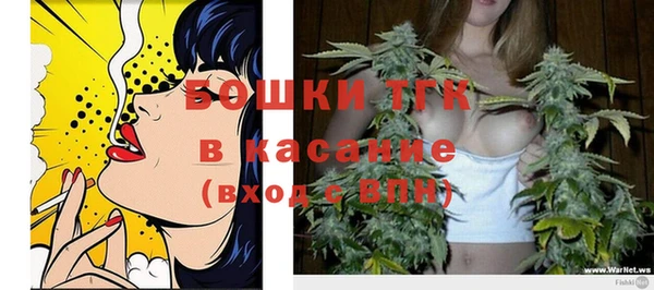 сатива Горняк