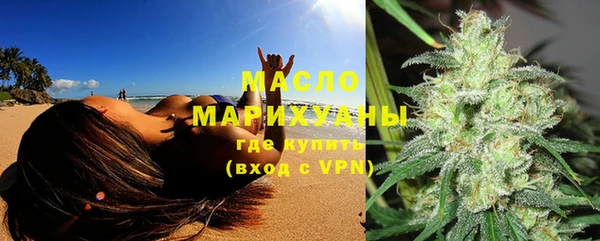 сатива Горняк
