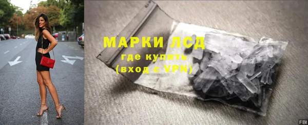 сатива Горняк